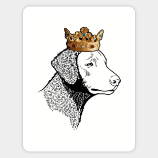 Curly-Coated Retriever Dog King Queen Wearing Crown Magnet